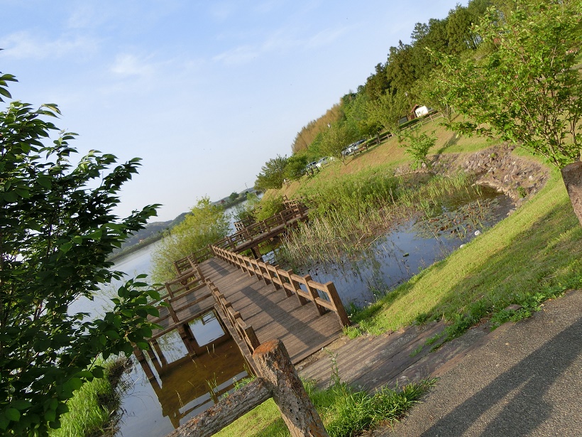 休日のワンちゃんの散歩コースにぴったりの のびのびパーク天啓 三重県松阪市 多気町周辺の不動産 アパート 中古住宅 株式会社東洋ハウジング Toyo Housing